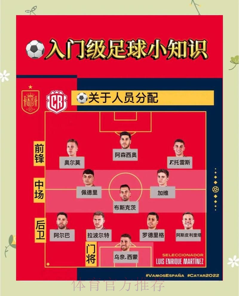 全面解析世界杯比分入口指南 全面解析世界杯比分入口指南